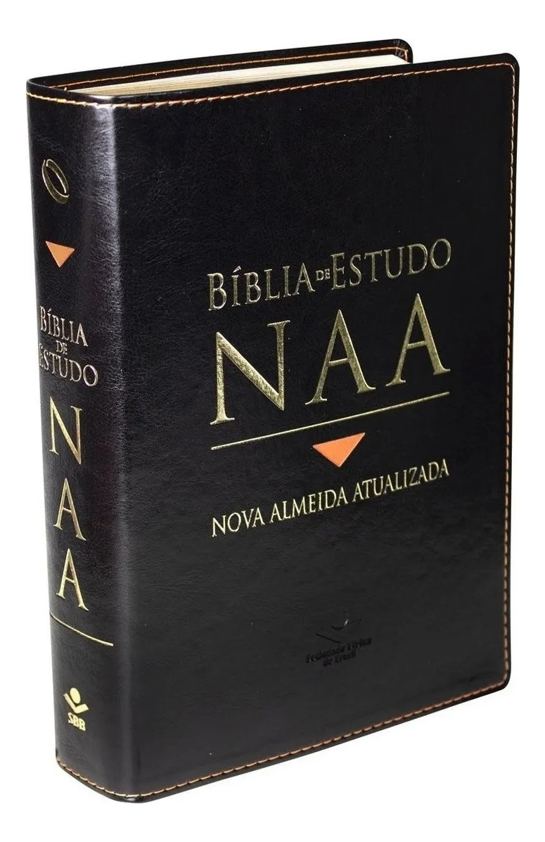 Bíblia de Estudo NAA 3