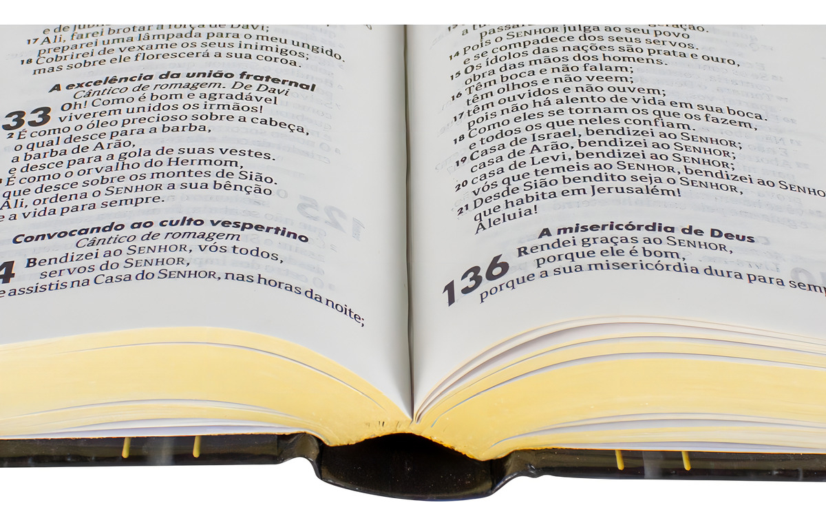 Bíblia Sagrada Almeida Revista e Atualizada  5