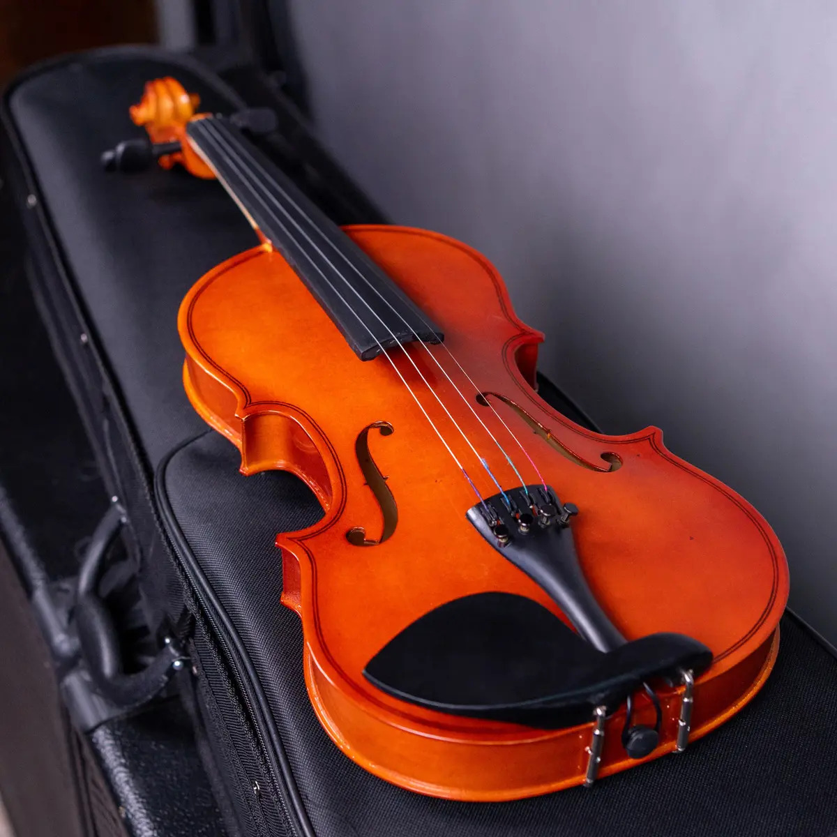 Violino Voik 4/4 5