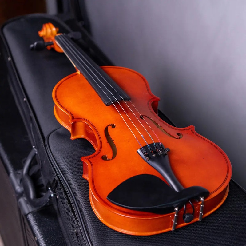 Violino Voik 4/4 5