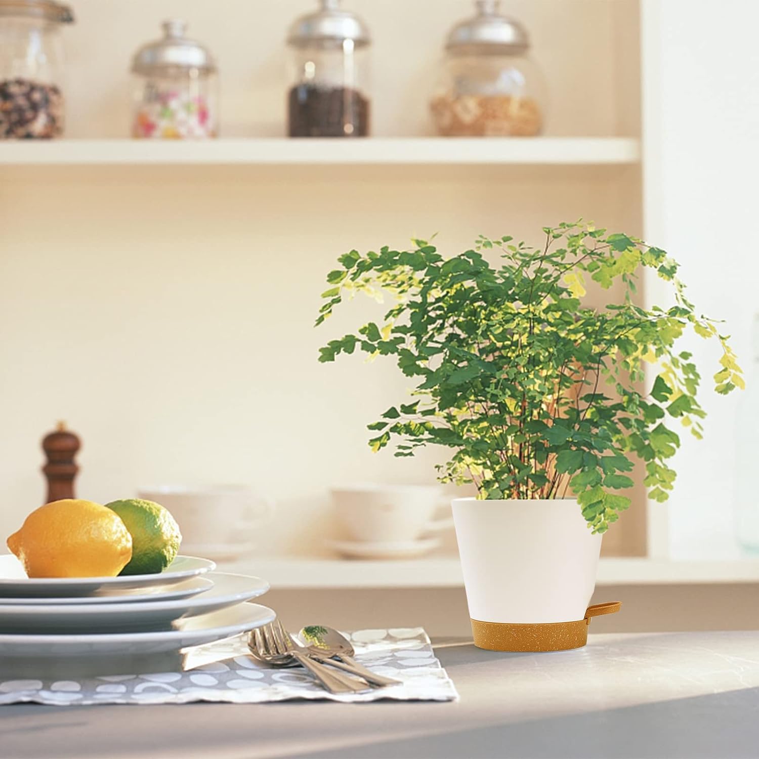 Vasos de Plantas Autoirrigáveis 4