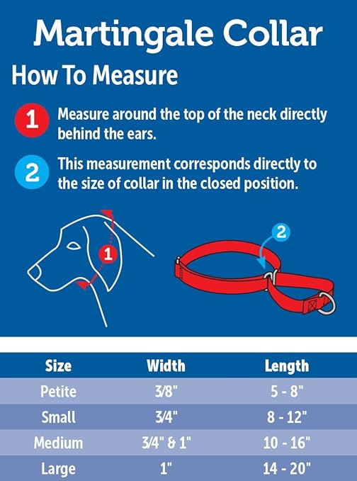 Coleira para Cachorro Martingale 3