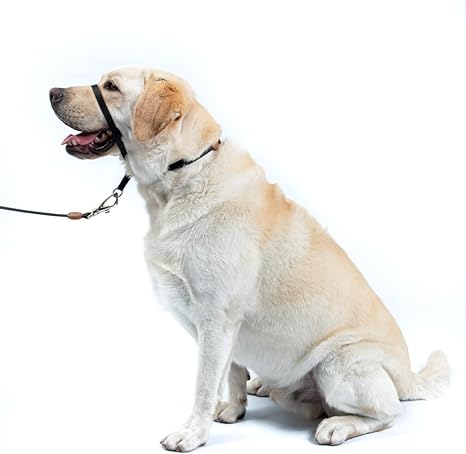 Coleira Cabresto para Cachorro 3