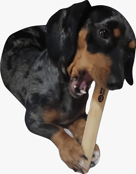 Mordedor para Cachorro Wood Amicus 2