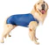 PET DESIGNER Roupa Pós-Cirúrgica Específica para Castração de Cães Machos Tam. 14 1