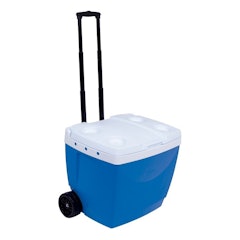 Caixa Térmica 42 L