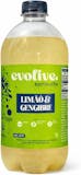 Top 10 Melhores Kombucha em 2026 (Evolive, Supraervas e mais) 2