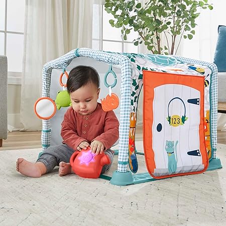 Baby Ginásio para Bebês de Cabana 3 em 1 4