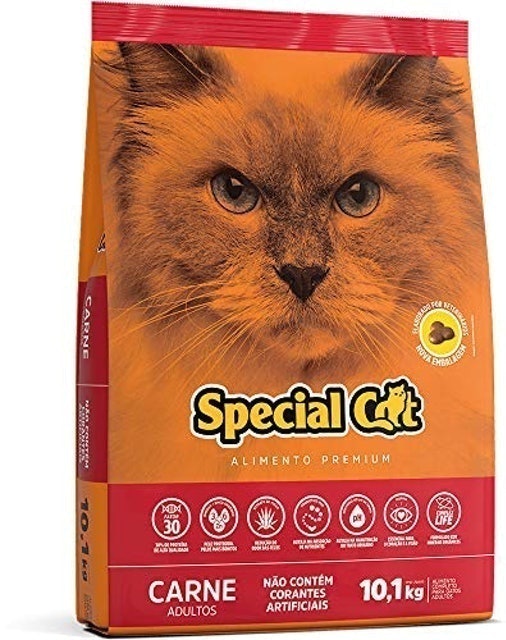 Special Cat 2