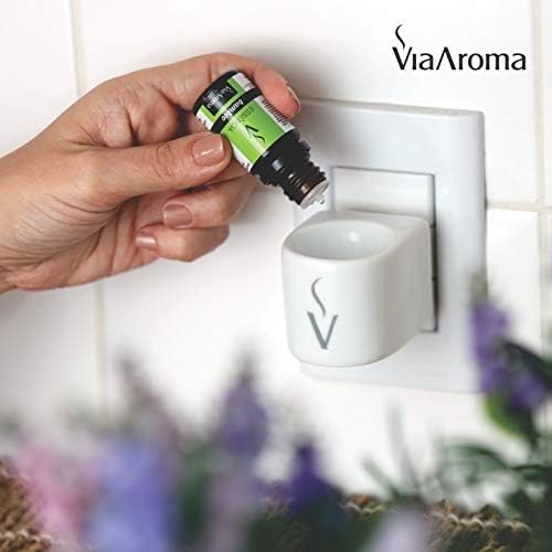 Kit 3 Óleos Essenciais – Eucaliptus Globulus, Lavanda e Menta Piperita 2
