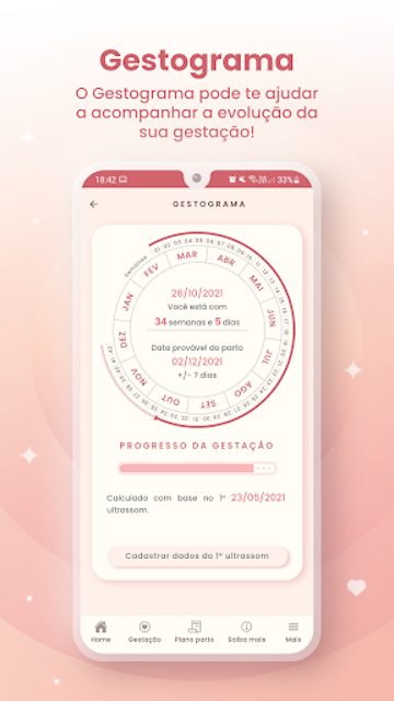 Meu Pré-Natal  3