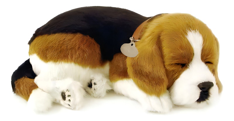 Pelúcia Perfect Petzzz - Beagle 1