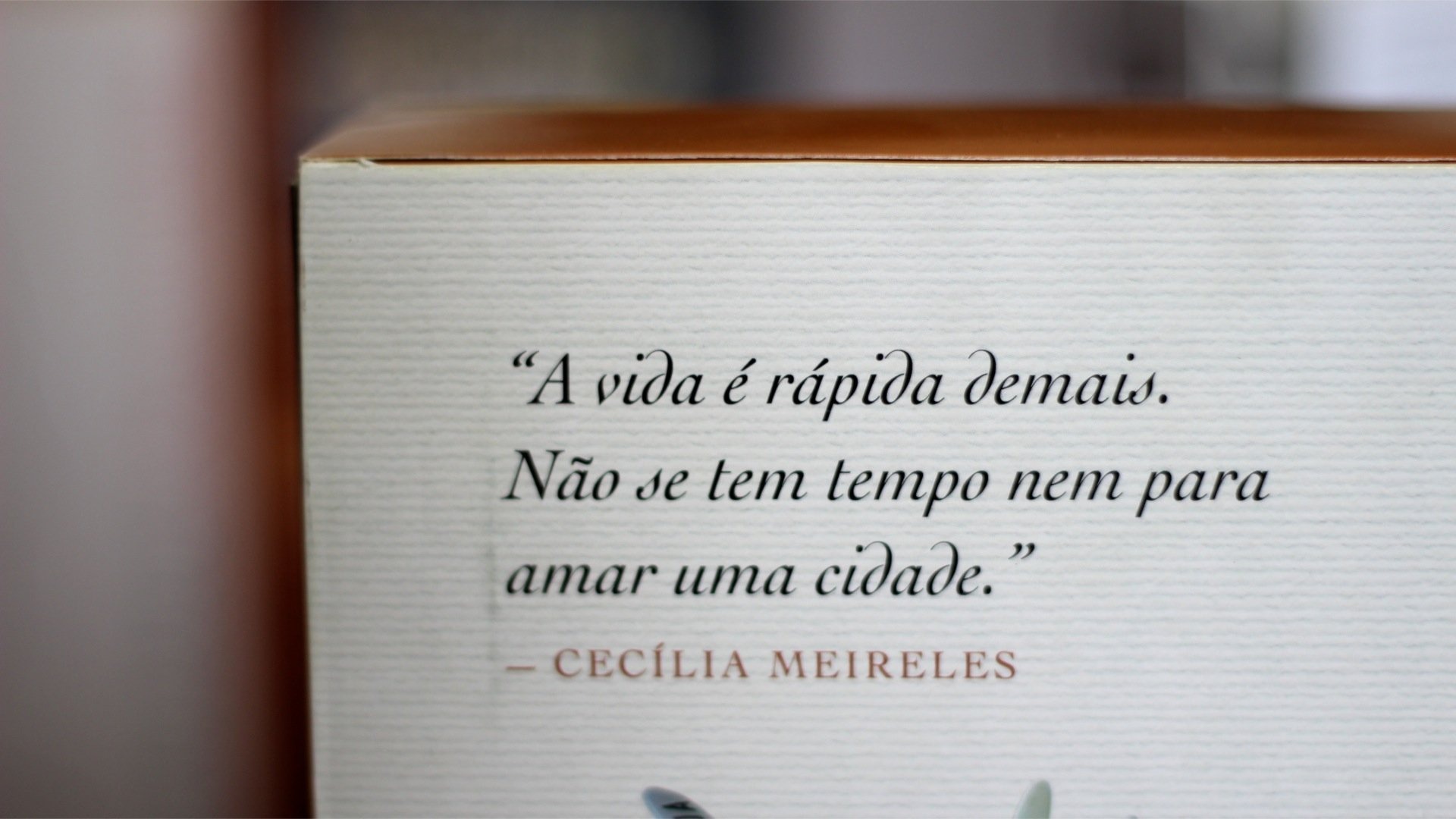 Box - Crônicas de Viagem 5