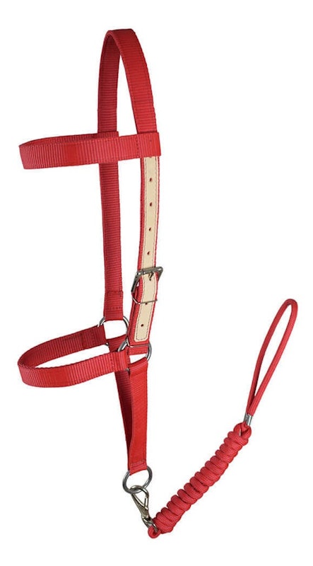 Cabresto de Seda para Cavalo SV5441 1