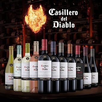 Casillero del Diablo Reserva Carmenere 4