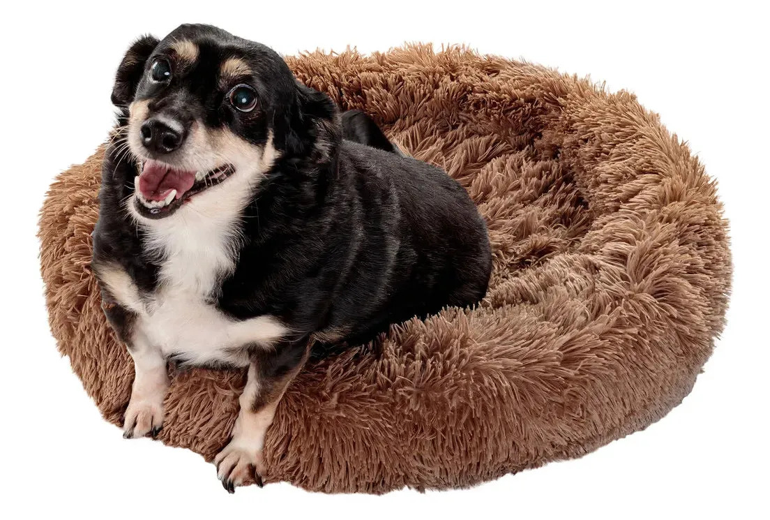 Top 10 Melhores Caminhas de Cachorro em 2026 (Grande, Pequeno e mais) 1