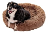 Top 10 Melhores Caminhas de Cachorro em 2026 (Grande, Pequeno e mais) 1