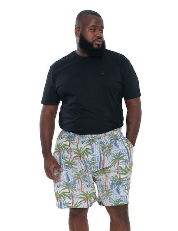 BigShirts Plus Size 5
