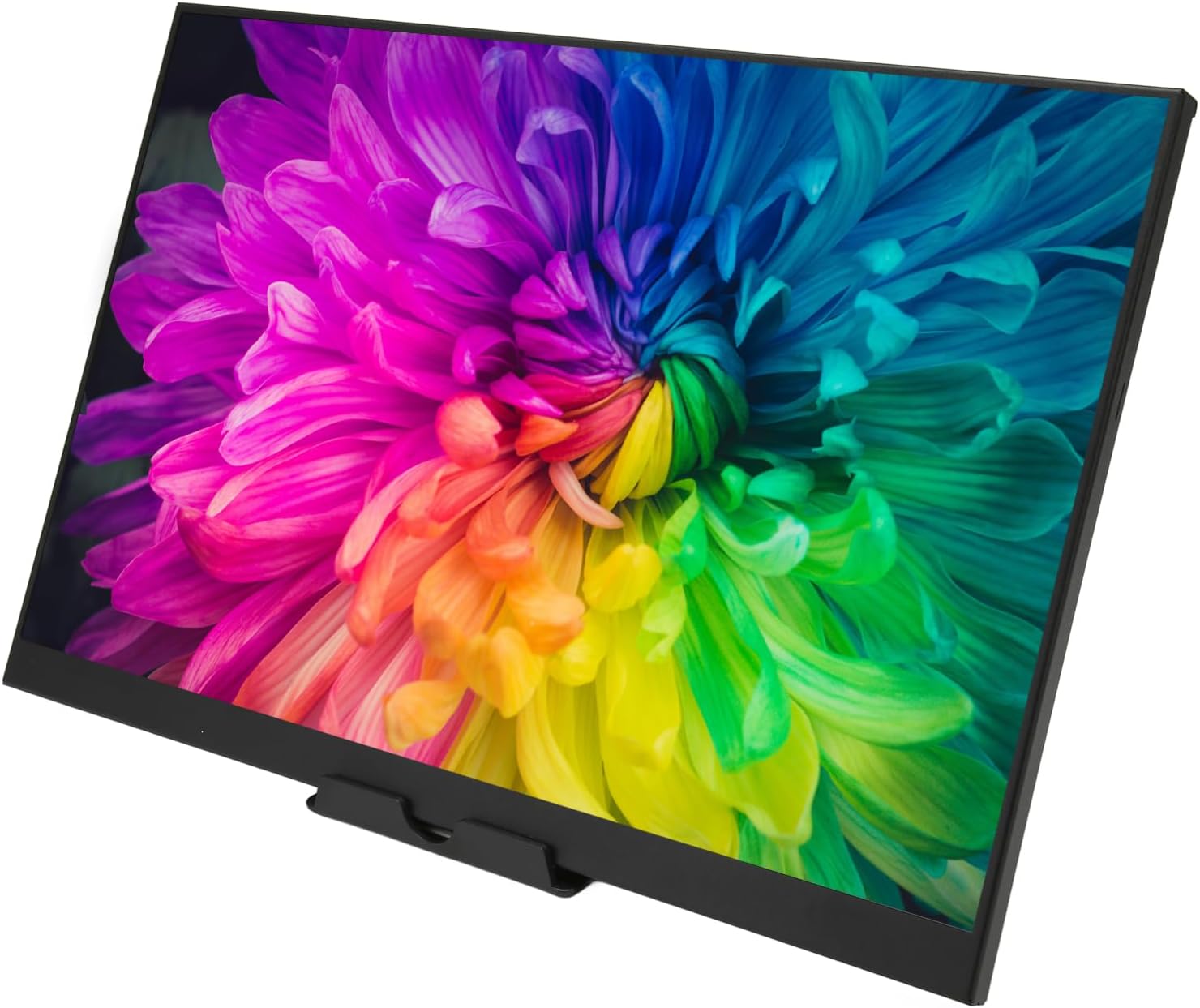 Monitor Portátil de 16" 1