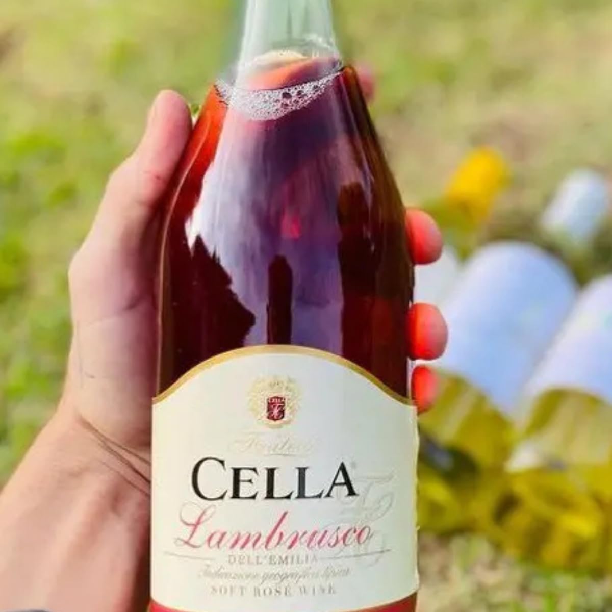 Lambrusco dell'Emilia Rosato IGT 3