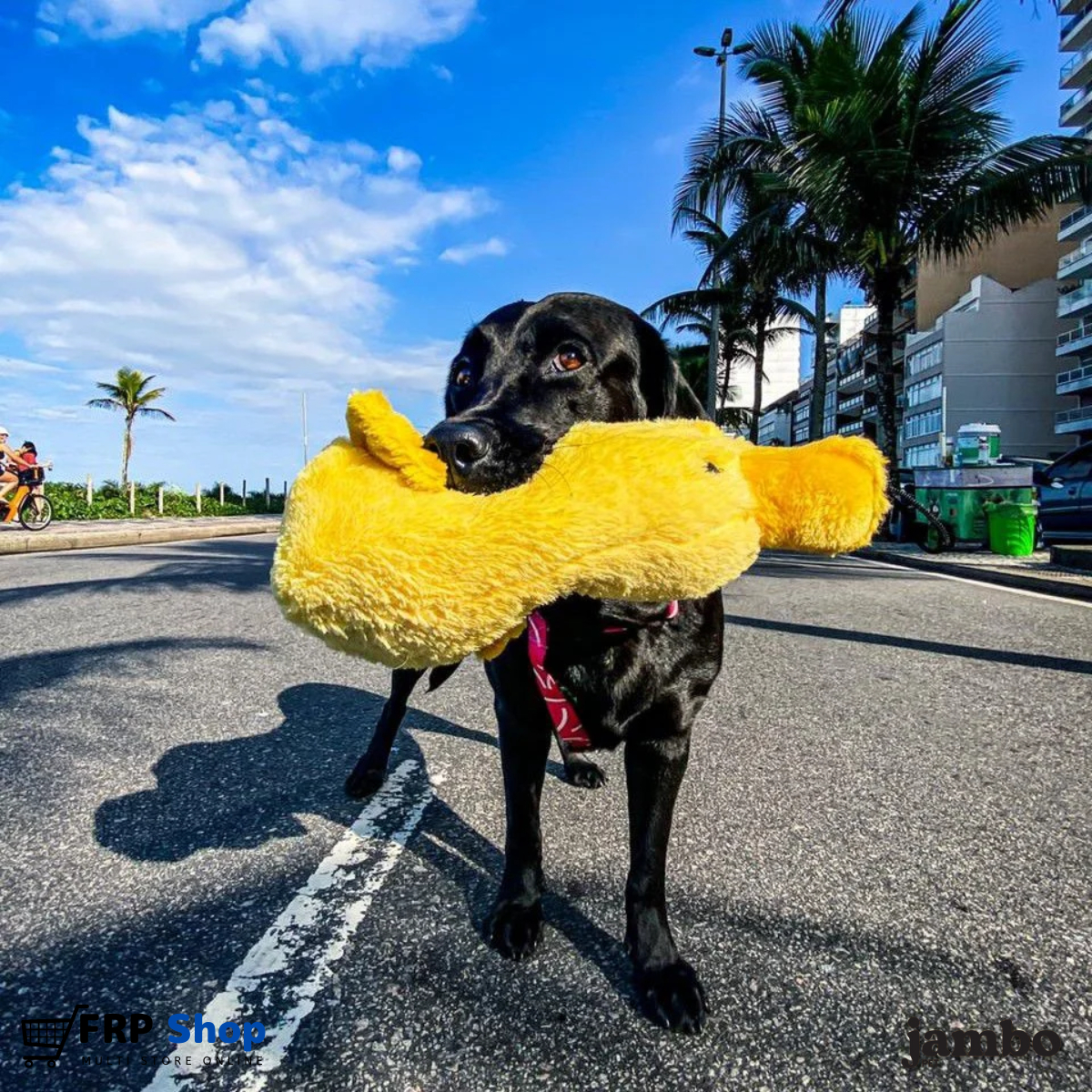 Mordedor Pelúcia Big Duck 3