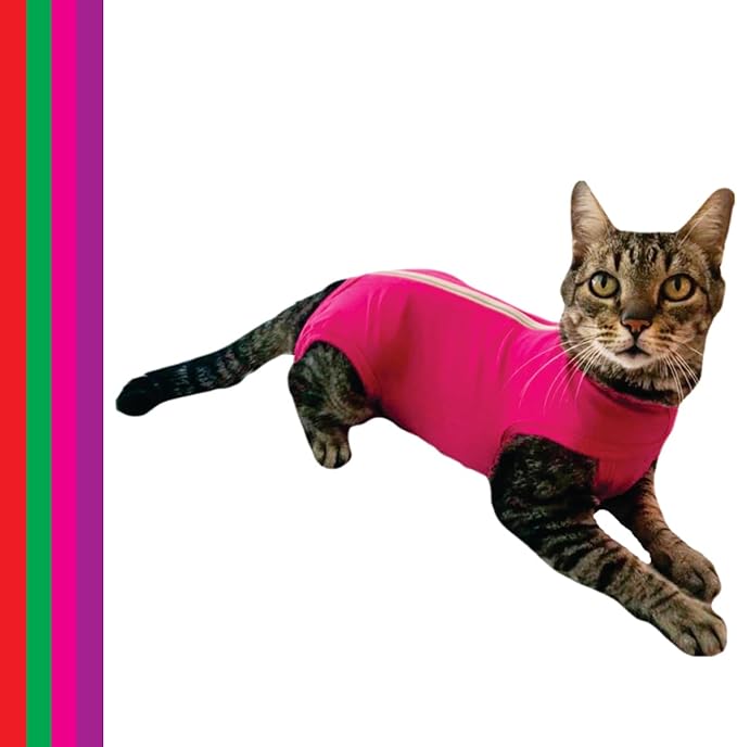 Top 10 Melhores Roupas Cirúrgicas para Gatos em 2026 (Vani Pets, Luvy Pet e mais) 1