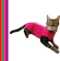 VANI PET Roupa Cirúrgica Gato Unissex Cotton 1