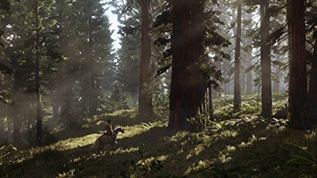 Red Dead Redemption 2 (2018) 5