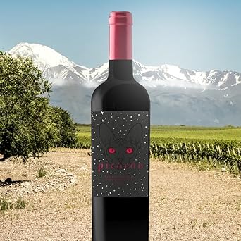 Vinho Cabernet Sauvignon 2