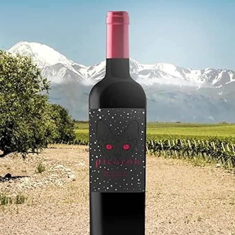Vinho Cabernet Sauvignon 2
