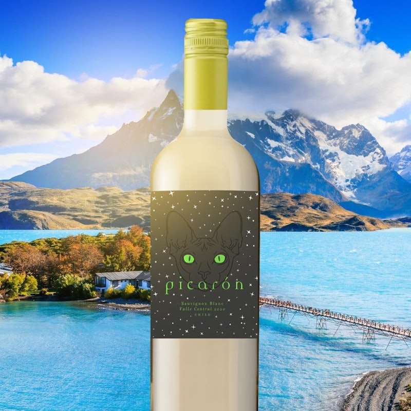 Vinho Picarón Sauvignon Blanc 2