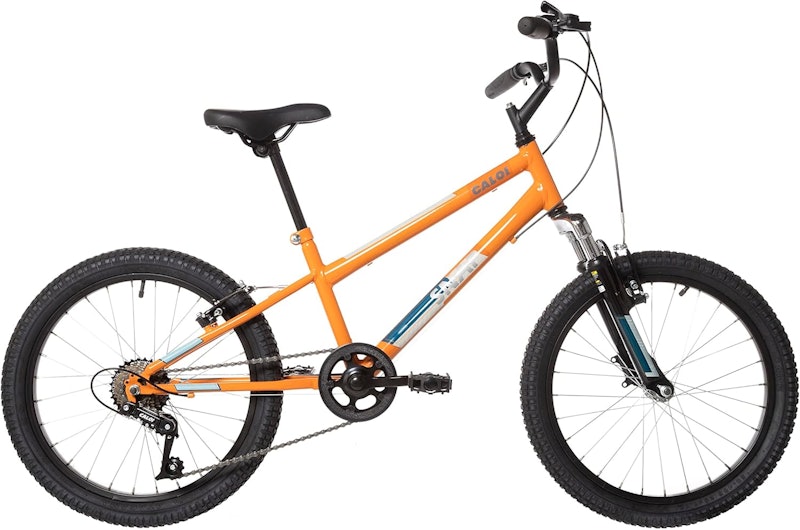 Top 10 Melhores Bicicletas Aro 20 em 2025 (Caloi, Colli e mais