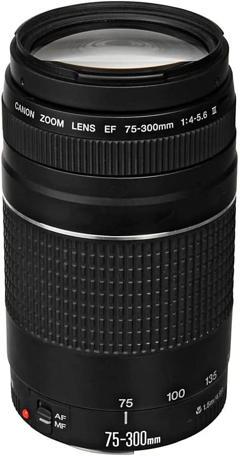Top 10 Melhores Lentes de Câmera Fotográfica  (Canon, Nikon e mais) 2