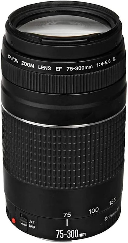 Lente Canon EF 75-300 mm f/4-5.6 III 1