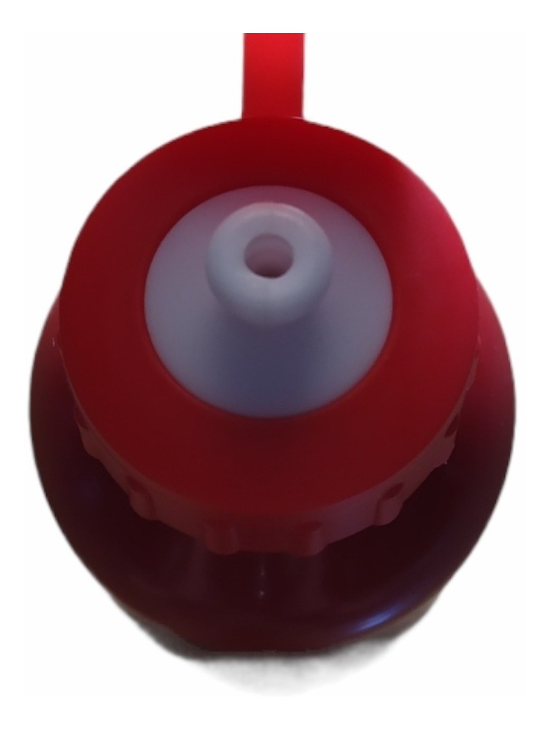 Garrafinha Inox Infantil Meus Melhores Amigos 3