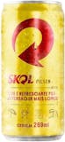 Top 10 Melhores Cervejas do Brasil (Skol, Brahma e mais) 3