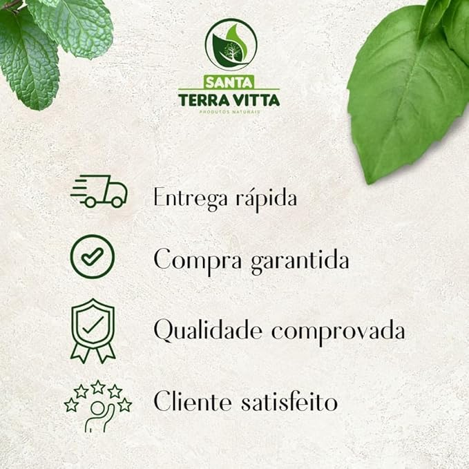 Chá Mate Tostado 3