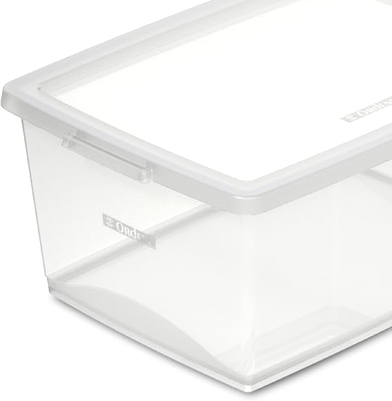 Organizador com Tampa 15 L 2