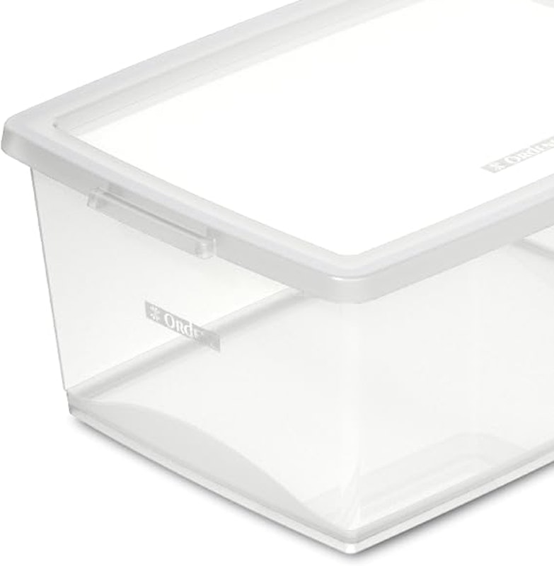 Organizador com Tampa 15 L 2