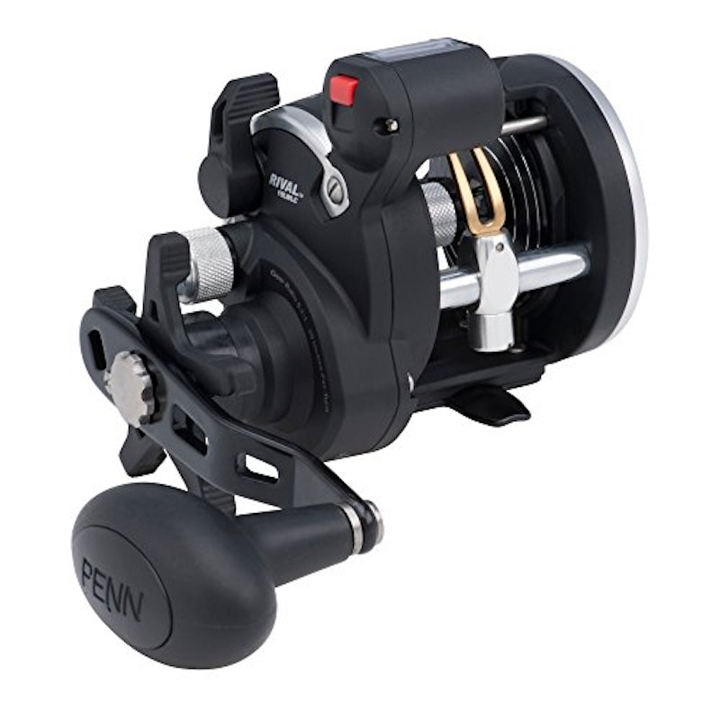 Carretilha Penn Rival 20LW 2