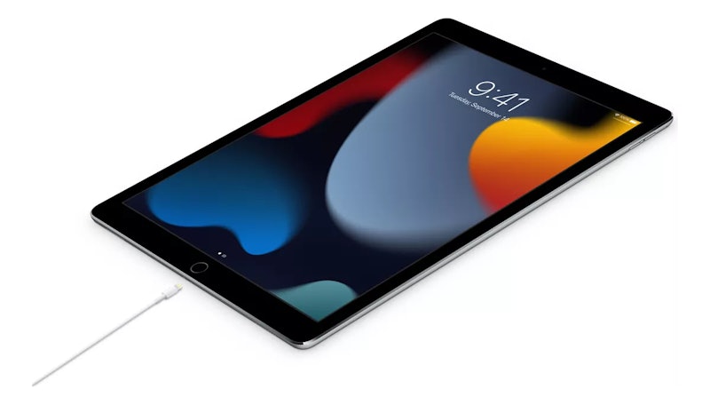 Cabo de USB-C para Lightning Apple (2 m) 4