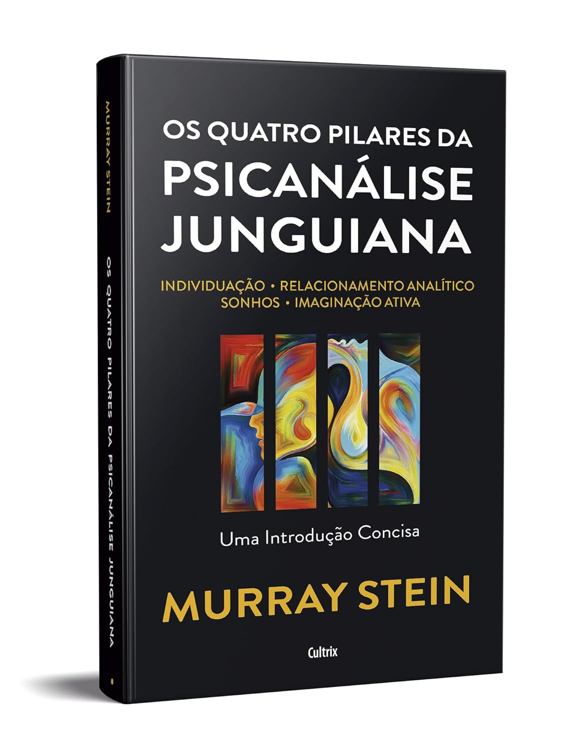 Os Quatro Pilares da Psicanálise Junguiana 2
