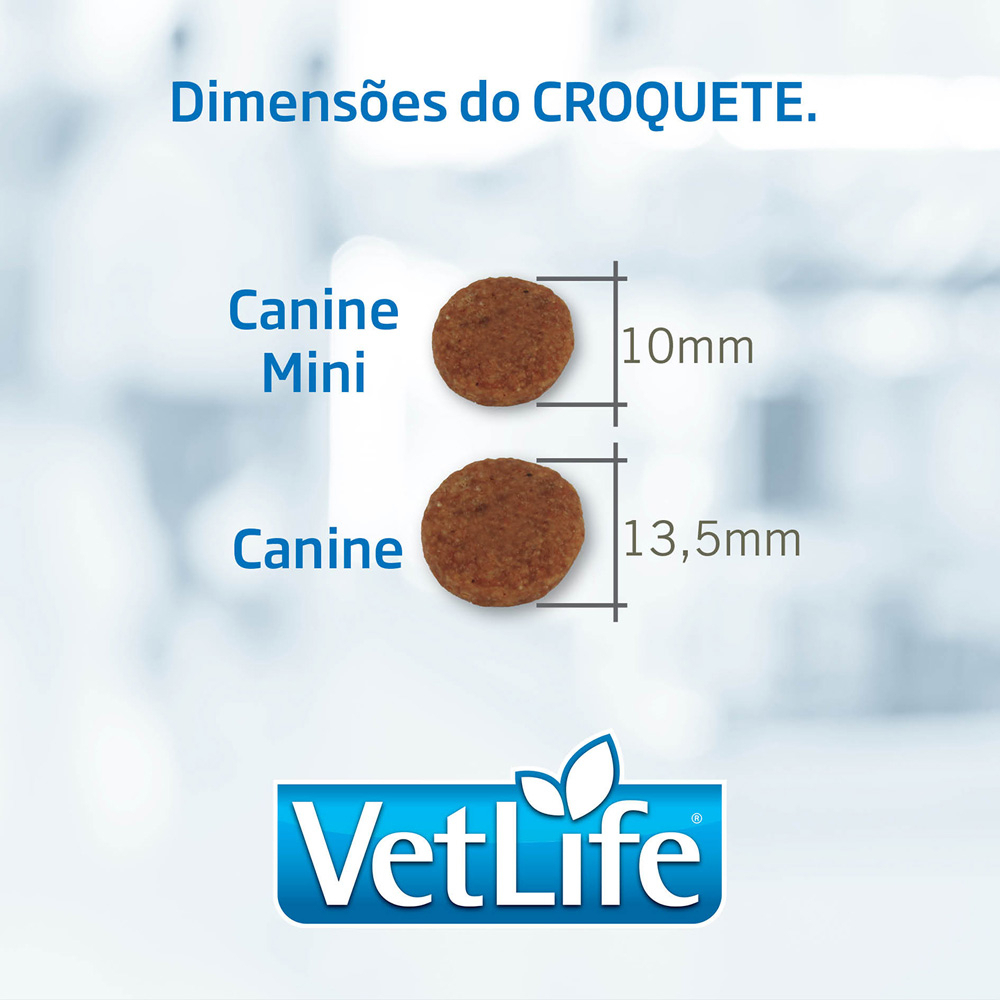 Ração Hypoallergenic Canine      3