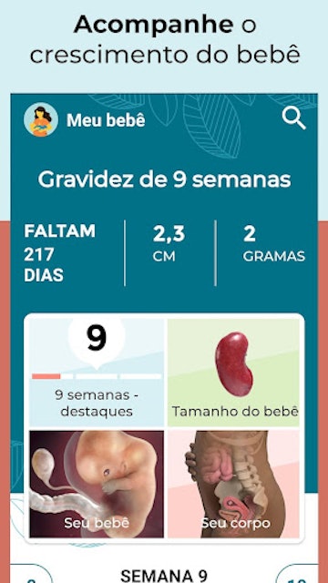 Minha Gravidez e Meu Bebê Hoje   2