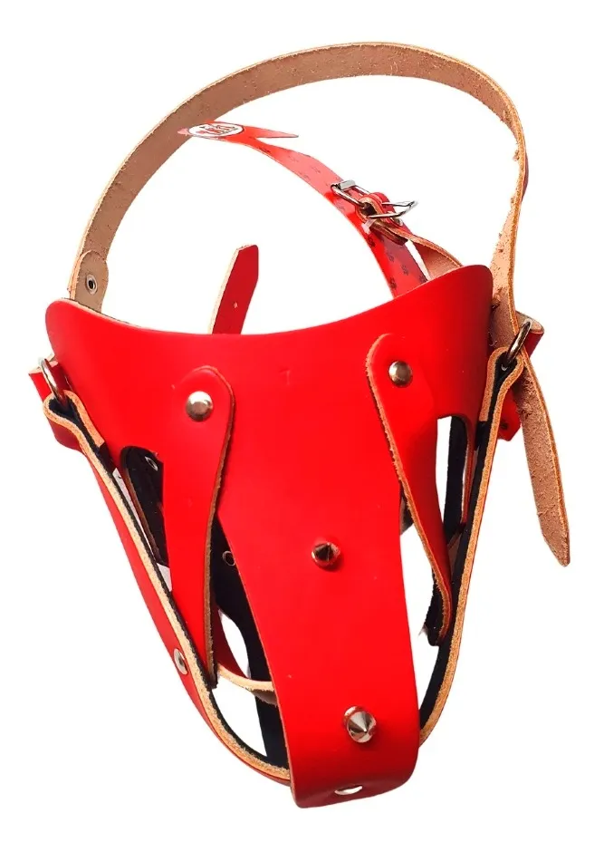 Focinheira Couro Gladiador Sortido Nº 4 1