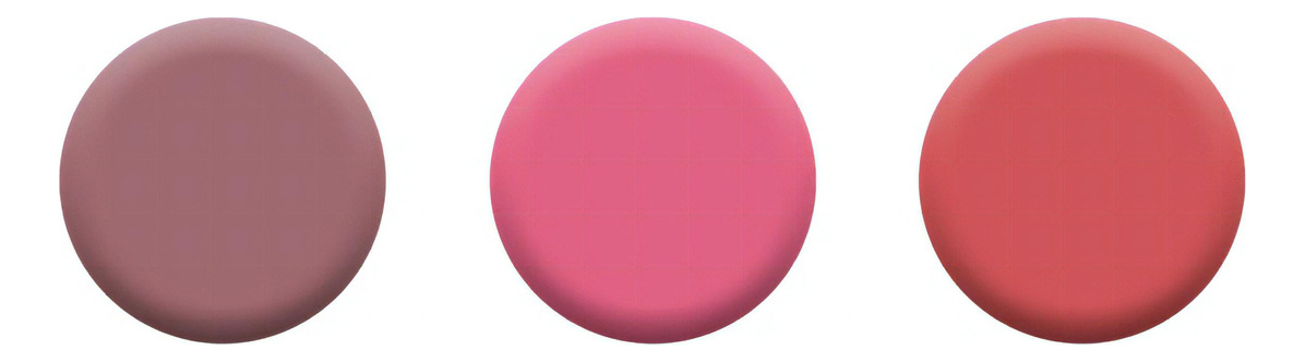 Paleta de Blush Trio 2