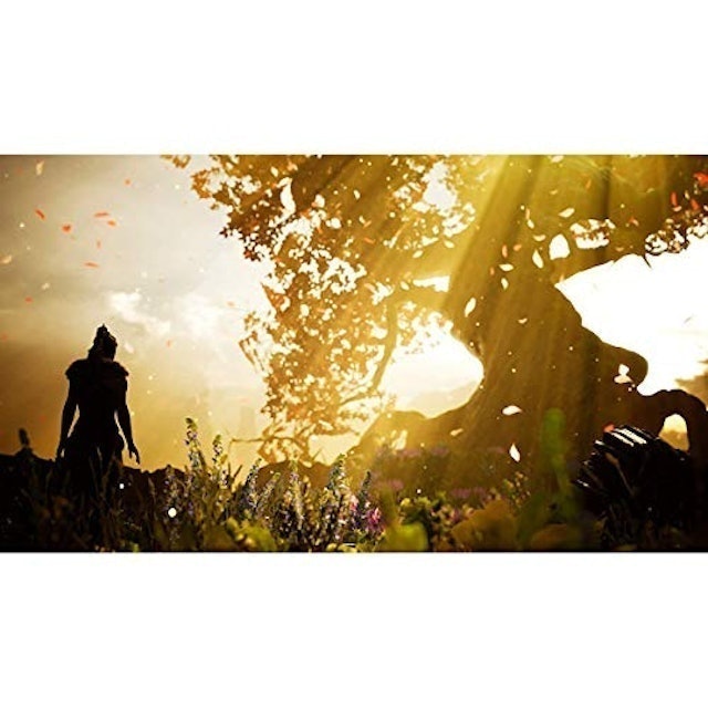 Hellblade: Senua's Sacrifice (2018) 5