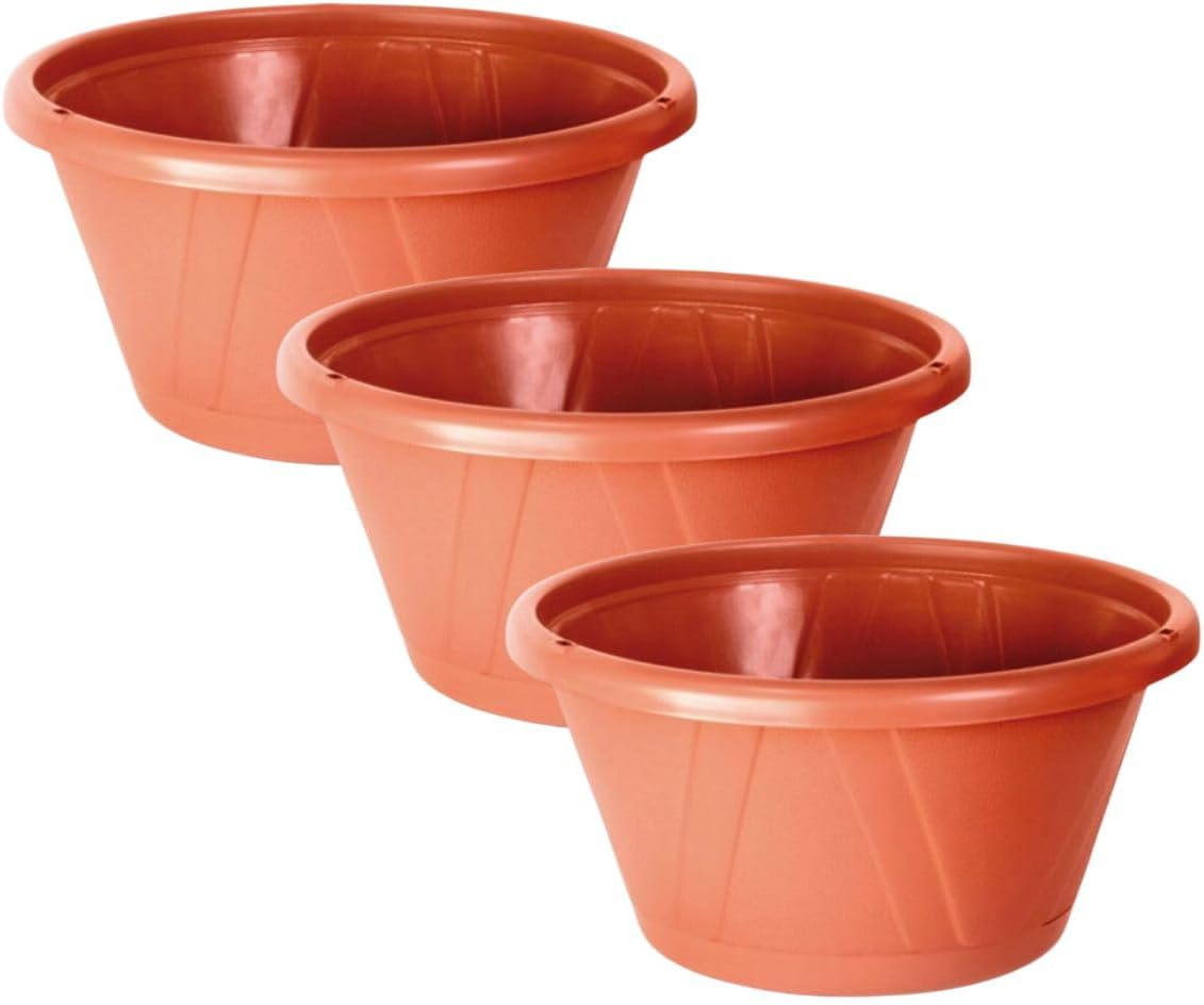 Kit 6 Vasos Cuia Nobre 01 com Prato  2