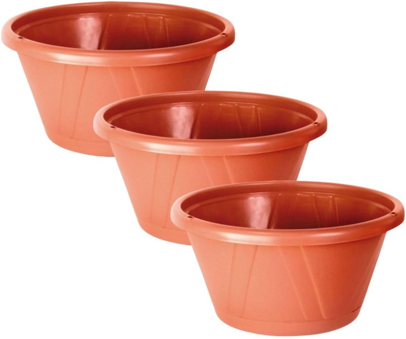 Kit 6 Vasos Cuia Nobre 01 com Prato 2