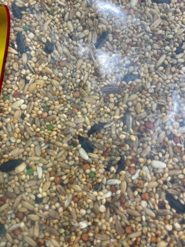 Calopsita e Agapornis - 5 kg 3